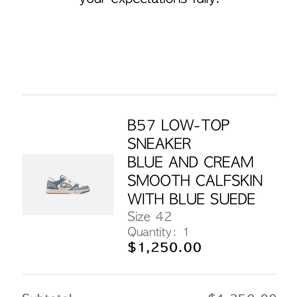 Brand new never worn Men’s Dior sneakers - Picture 2 of 2